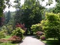 IMGP0795