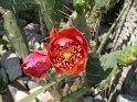 IMGP0801